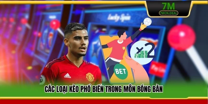 Các loại kèo phổ biến trong môn bóng bàn