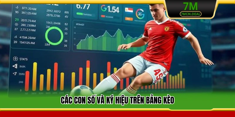 Các con số và ký hiệu trên bảng kèo